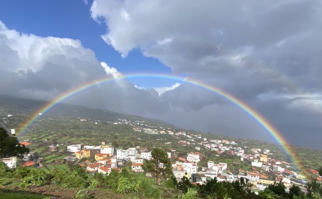 El Pinar: The most underrated gem in the Canary Islands, according to AI – and a world-rarity for divers