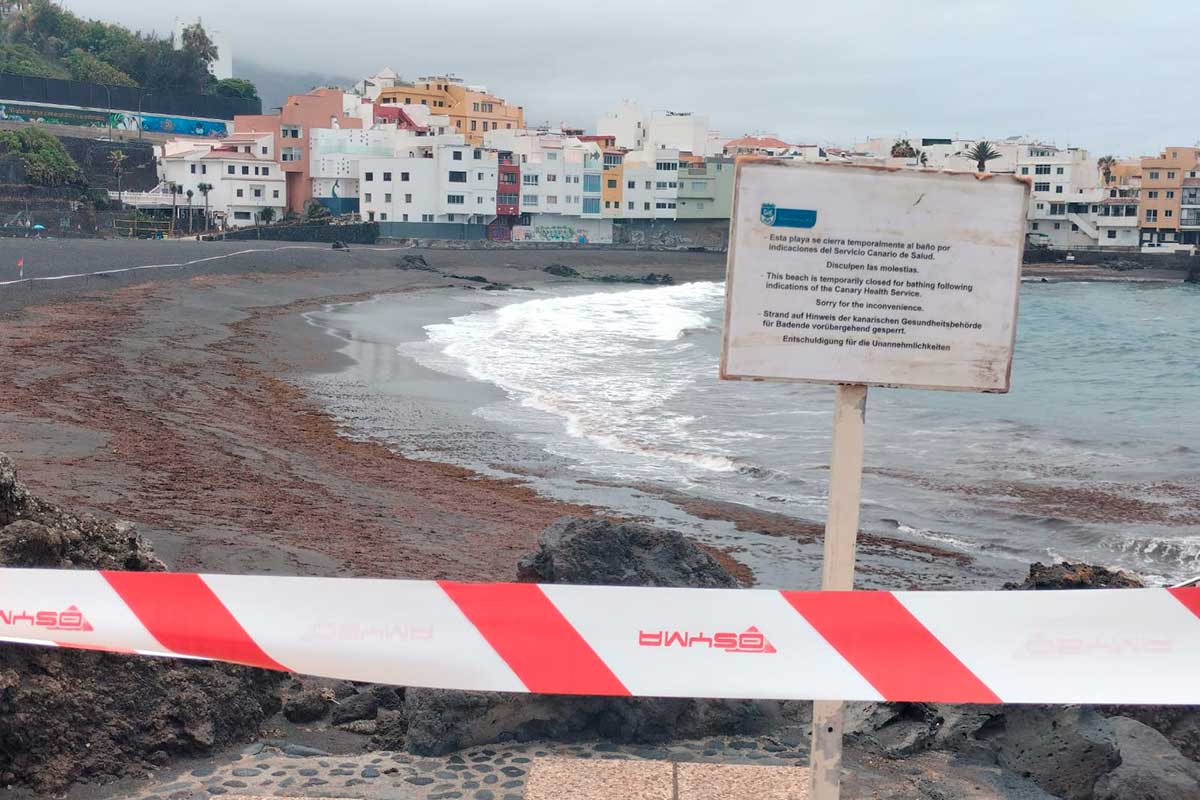 Charges Filed Against Six Officials for Environmental Negligence at Playa Jardín, Tenerife